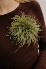 Plum Broche green